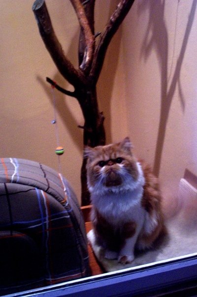 Lili w Waszym hotelu